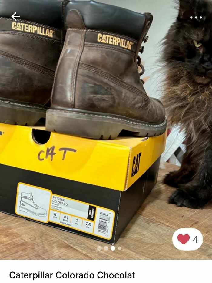 100 Times Cats Stole The Spotlight In Vinted Ads