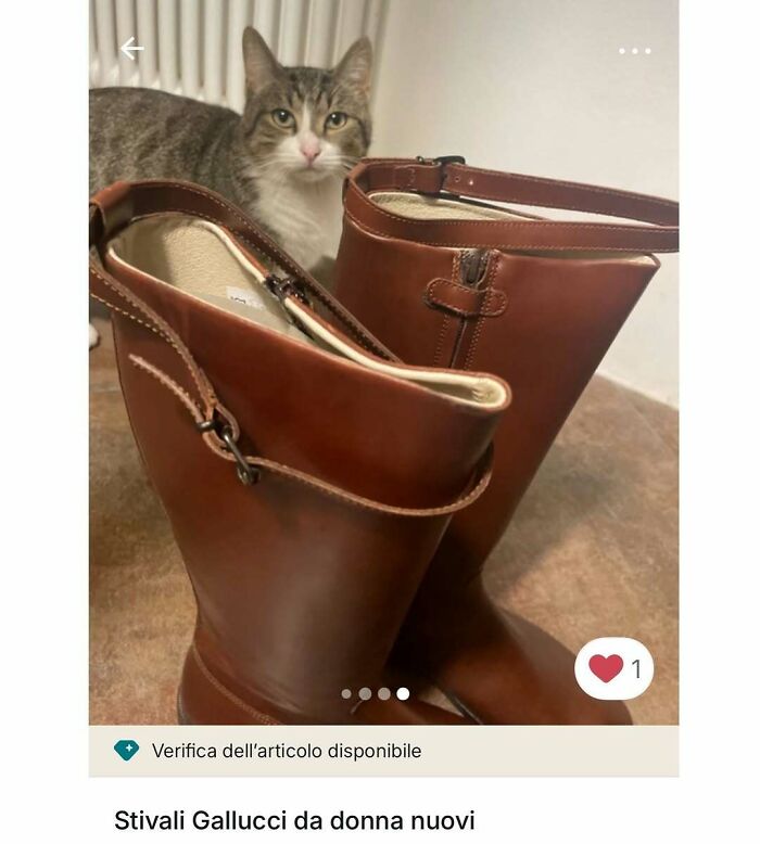 100 Times Cats Stole The Spotlight In Vinted Ads