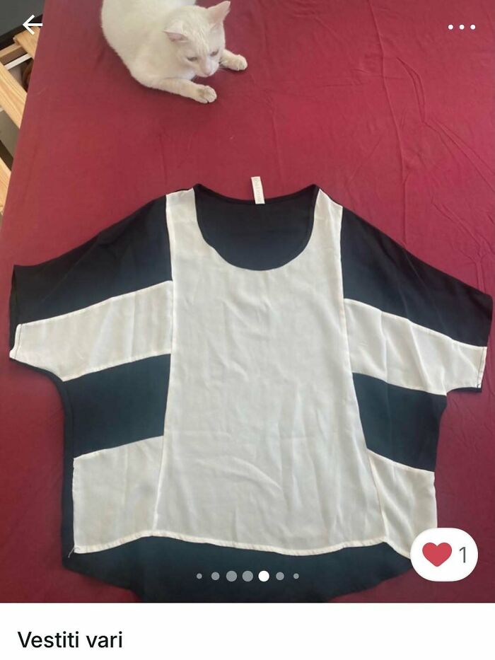 100 Times Cats Stole The Spotlight In Vinted Ads