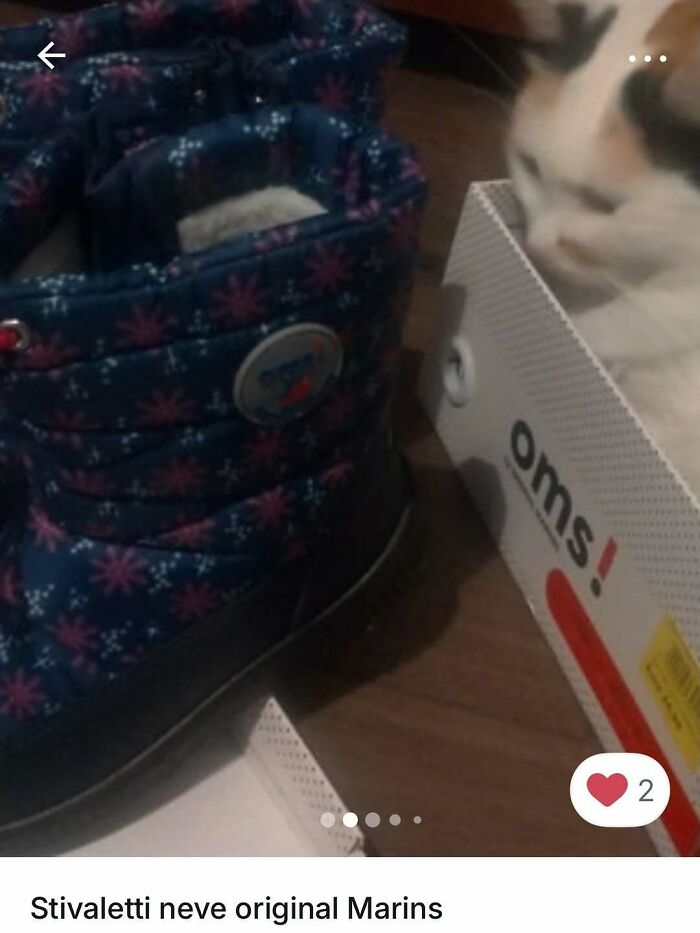 100 Times Cats Stole The Spotlight In Vinted Ads