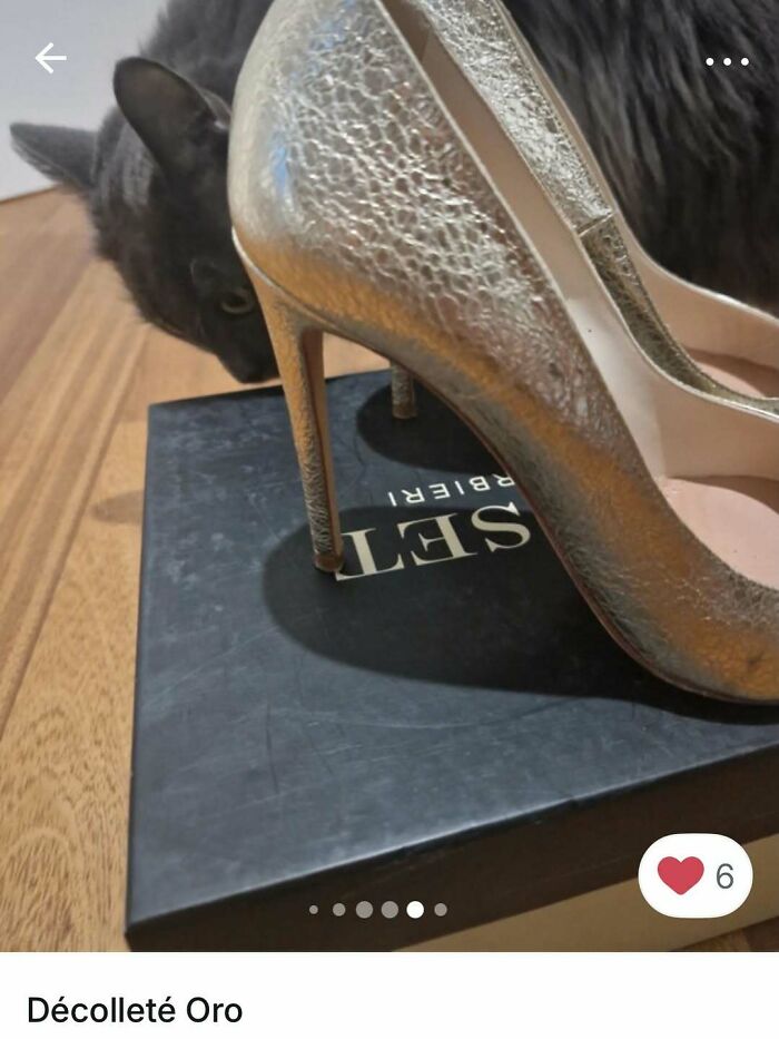 100 Times Cats Stole The Spotlight In Vinted Ads