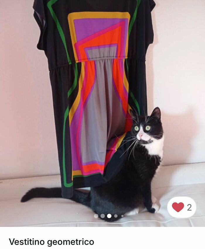 100 Times Cats Stole The Spotlight In Vinted Ads