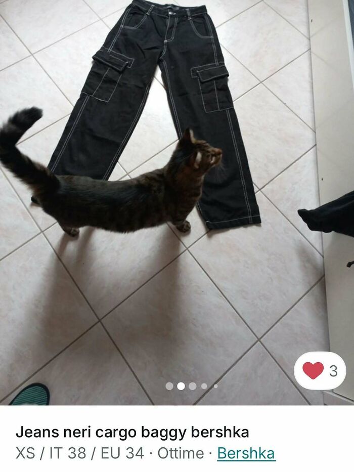 100 Times Cats Stole The Spotlight In Vinted Ads