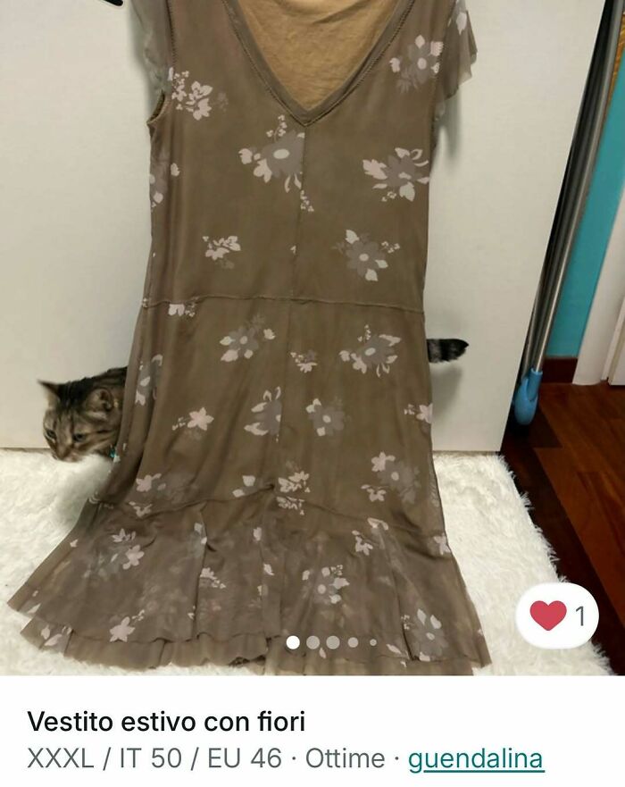 100 Times Cats Stole The Spotlight In Vinted Ads