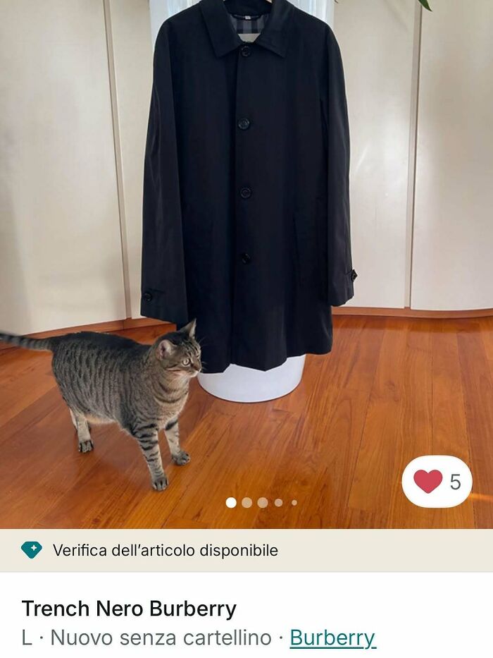 100 Times Cats Stole The Spotlight In Vinted Ads