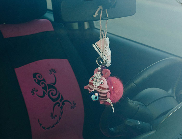 Sister Refuses To Drive Ungrateful Brother Who Trashed Her Girly Car But Won’t Get His Own License