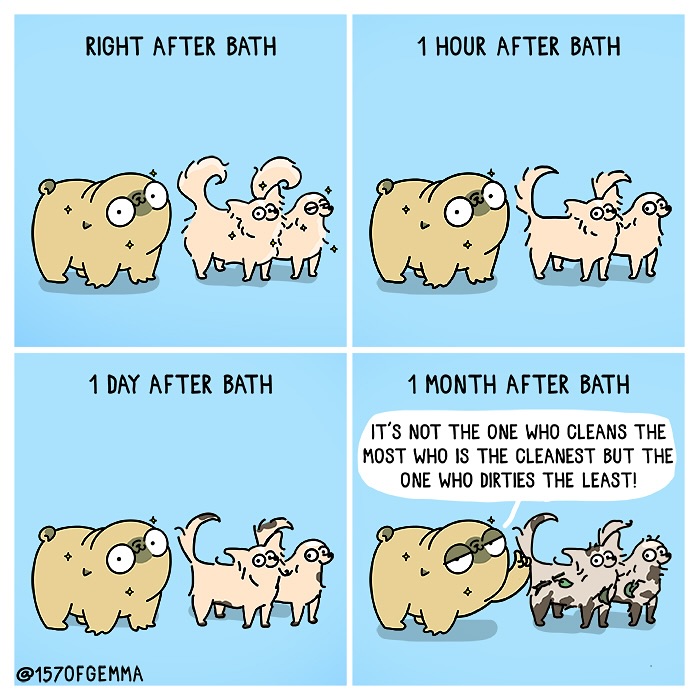 Comics That Perfectly Show The Everyday Life Of An Artist, Her Family, And One Spoiled Pug (23 New Pics)