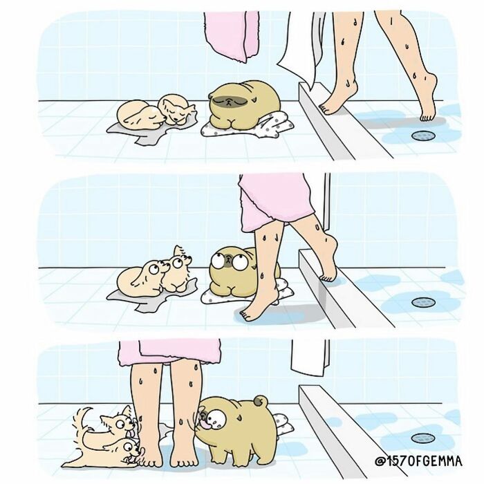 Comics That Perfectly Show The Everyday Life Of An Artist, Her Family, And One Spoiled Pug (23 New Pics)