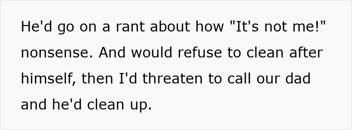 Sis Disgusted By Bro Leaving Stains On The Toilet Seat, Has To Shame Him Publicly To Make Him Stop