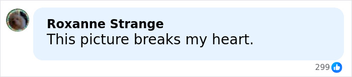 Heartbreaking Update On 5-Year-Old Boy, Liam Conejo Ramos, Who Was Detained by ICE