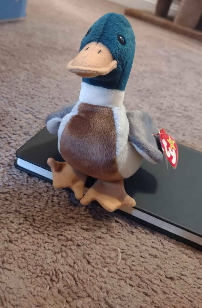 12 Most Expensive Beanie Babies, Ranked 12 Most Expensive Beanie Babies, Ranked