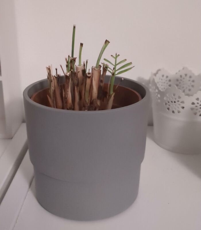 48 Jerks That Made Their Roommates Consider Working 5 Jobs Just To Live Alone (New Pics)