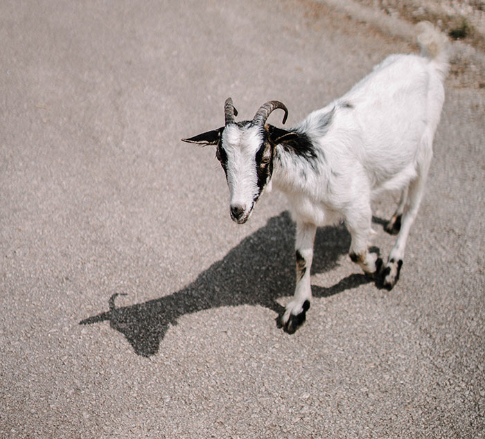 53 Times People Saw Something Unexplainable And They’re Convinced It Wasn&rsquo;t A Dream