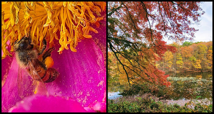 Through Their Eyes: The Rockefeller State Park Preserve Staff Photo Exhibit