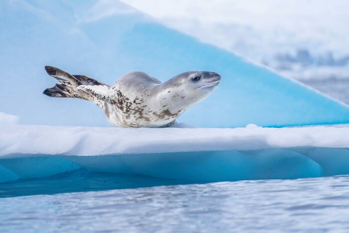 Places You Should Visit At Least Once In Your Life: 2026 Edition Places You Should Visit At Least Once In Your Life: 2026 Edition