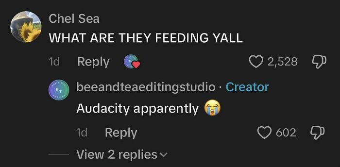 80 Weird, Funny, And Totally Unhinged TikTok Comments 80 Weird, Funny, And Totally Unhinged TikTok Comments