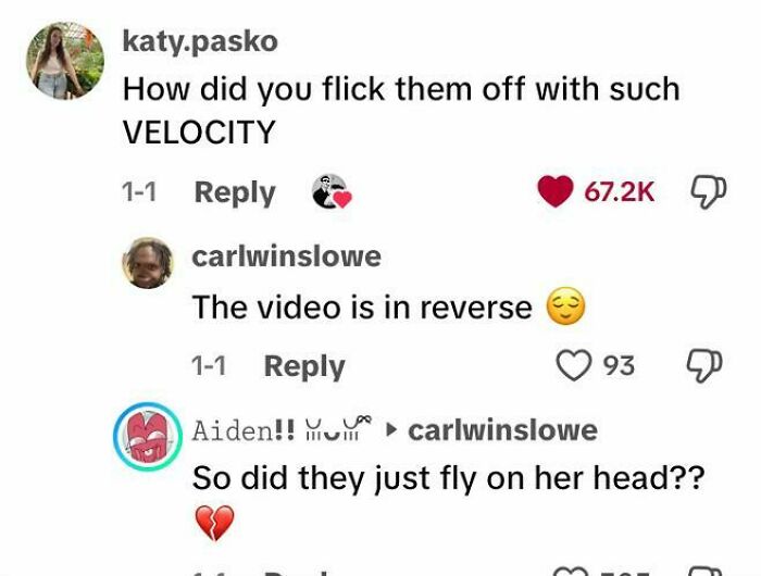 80 Weird, Funny, And Totally Unhinged TikTok Comments 80 Weird, Funny, And Totally Unhinged TikTok Comments