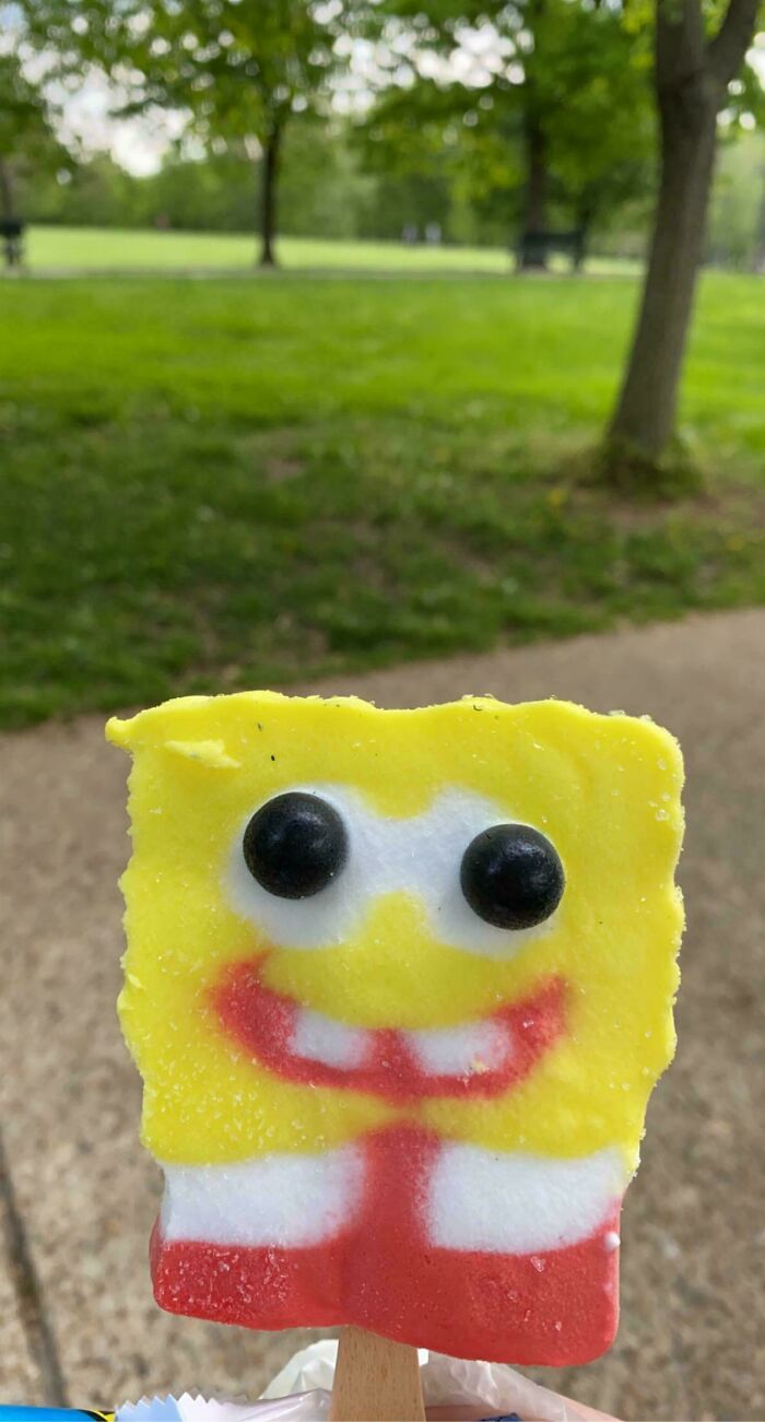 50 Completely Unremarkable Photos That Have No Business Being This Entertaining (New Pics)