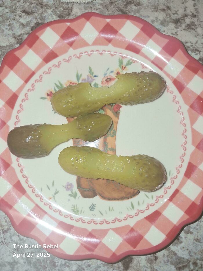 50 Completely Unremarkable Photos That Have No Business Being This Entertaining (New Pics)