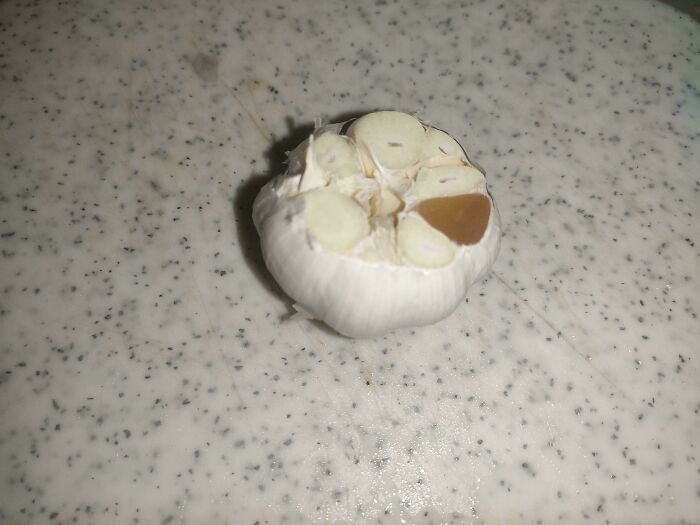 50 Completely Unremarkable Photos That Have No Business Being This Entertaining (New Pics)