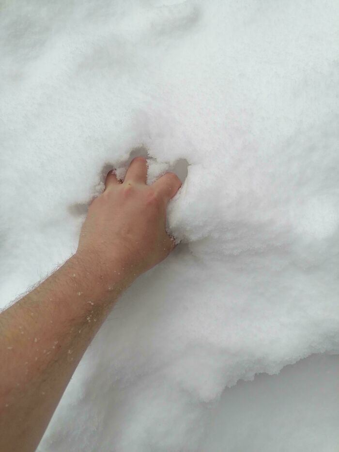 50 Completely Unremarkable Photos That Have No Business Being This Entertaining (New Pics)