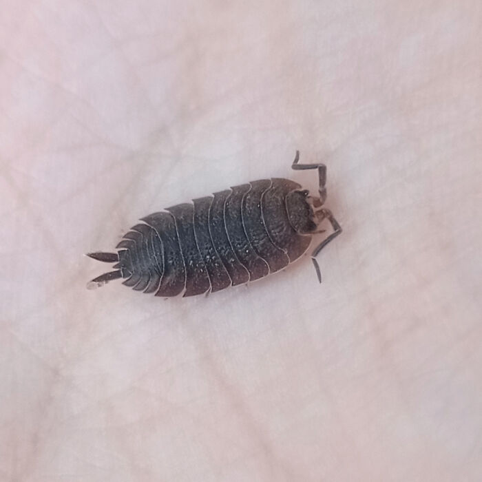 50 Completely Unremarkable Photos That Have No Business Being This Entertaining (New Pics)