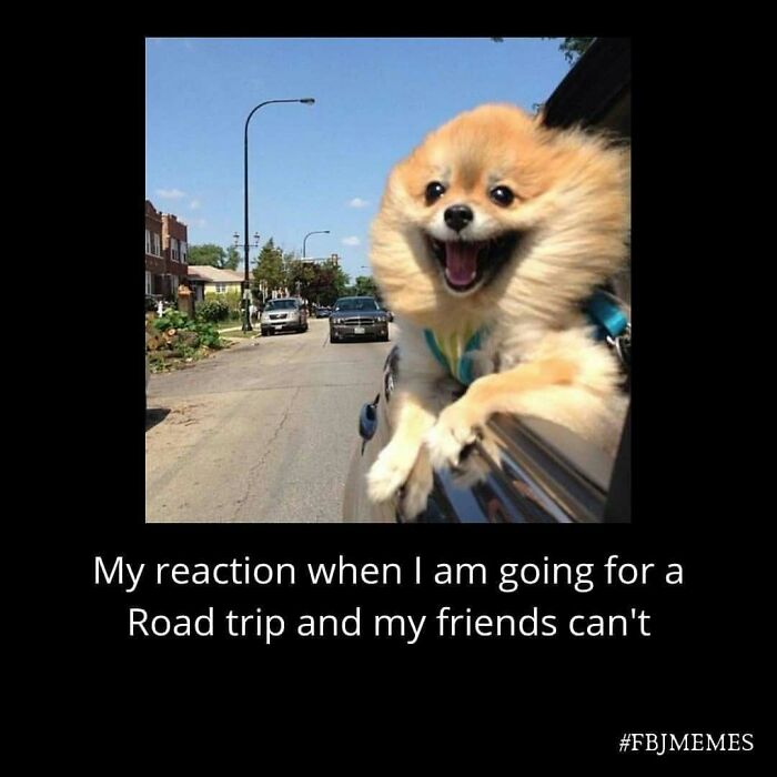 72 Hilarious Travel Memes To Enjoy Because Actual Travel Is Expensive 72 Hilarious Travel Memes To Enjoy Because Actual Travel Is Expensive