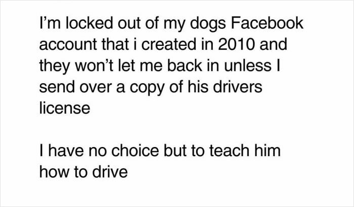 80 Funny Memes For Moments When You Don’t Have The Energy For Anything Else (New Pics)