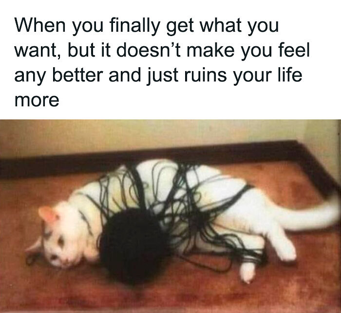 80 Funny Memes For Moments When You Don’t Have The Energy For Anything Else (New Pics)