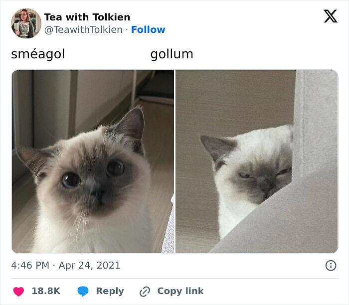 80 Funny Memes For Moments When You Don’t Have The Energy For Anything Else (New Pics)