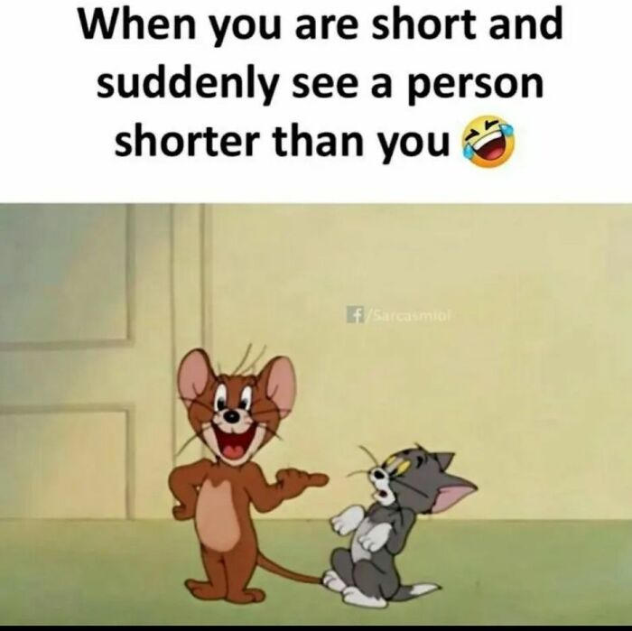 80 Funny Memes For Moments When You Don’t Have The Energy For Anything Else (New Pics)