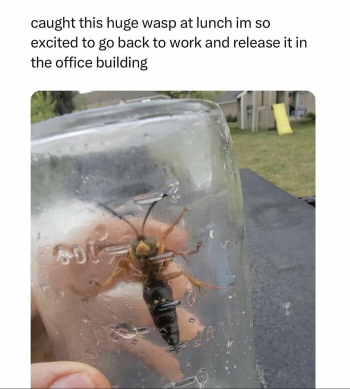 80 Funny Memes For Moments When You Don’t Have The Energy For Anything Else (New Pics)