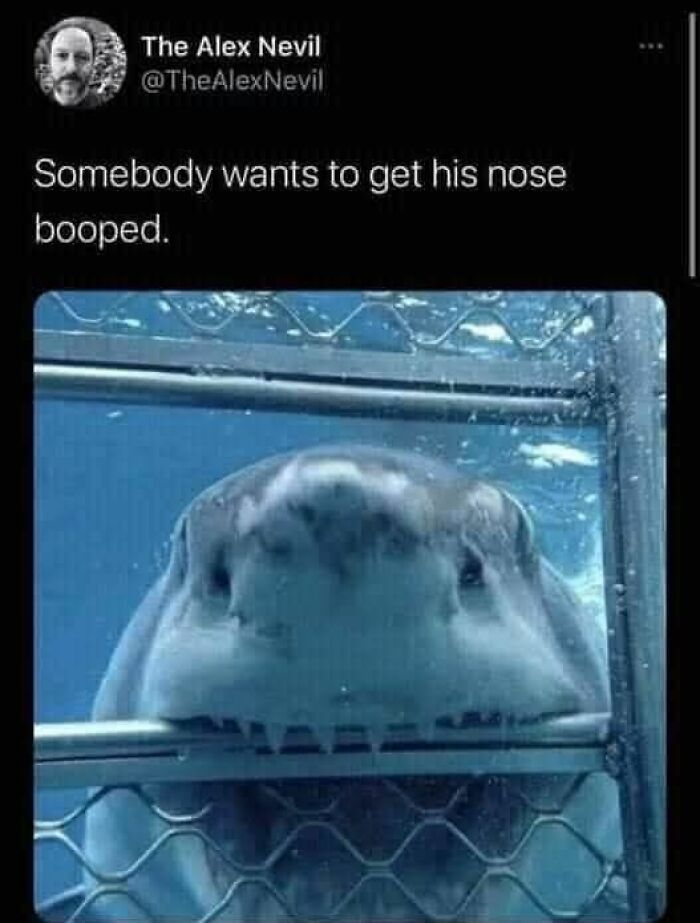 80 Funny Memes For Moments When You Don’t Have The Energy For Anything Else (New Pics)