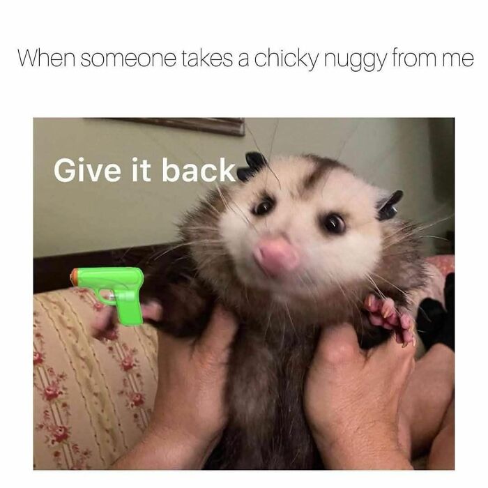 80 Funny Memes For Moments When You Don’t Have The Energy For Anything Else (New Pics)