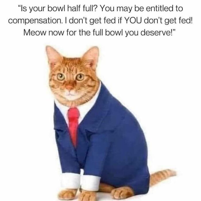 80 Funny Memes For Moments When You Don’t Have The Energy For Anything Else (New Pics)