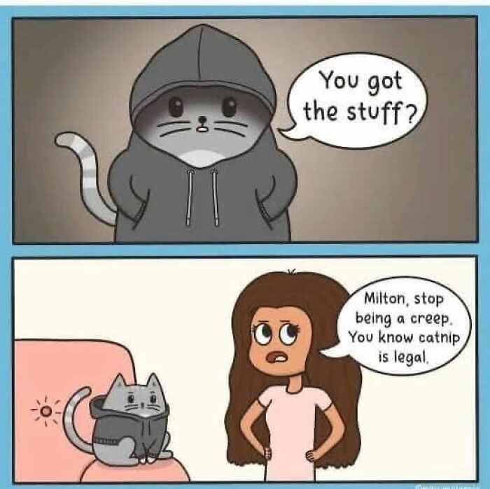 80 Funny Memes For Moments When You Don’t Have The Energy For Anything Else (New Pics)