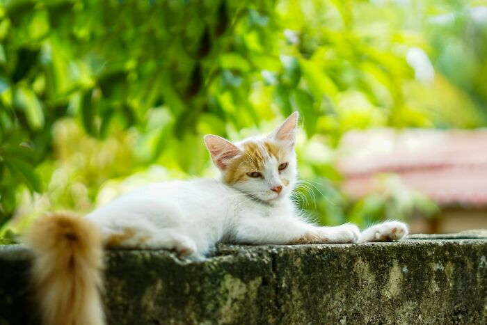 65 Times Vets Heard Such Brilliant And Bizarre Pet Names That They Just Had To Share Them 65 Times Vets Heard Such Brilliant And Bizarre Pet Names That They Just Had To Share Them