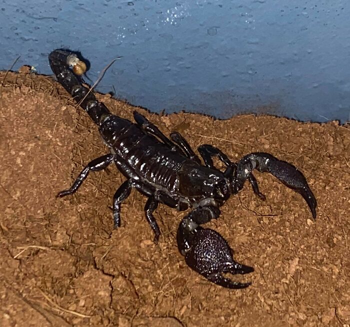 65 Times Vets Heard Such Brilliant And Bizarre Pet Names That They Just Had To Share Them 65 Times Vets Heard Such Brilliant And Bizarre Pet Names That They Just Had To Share Them