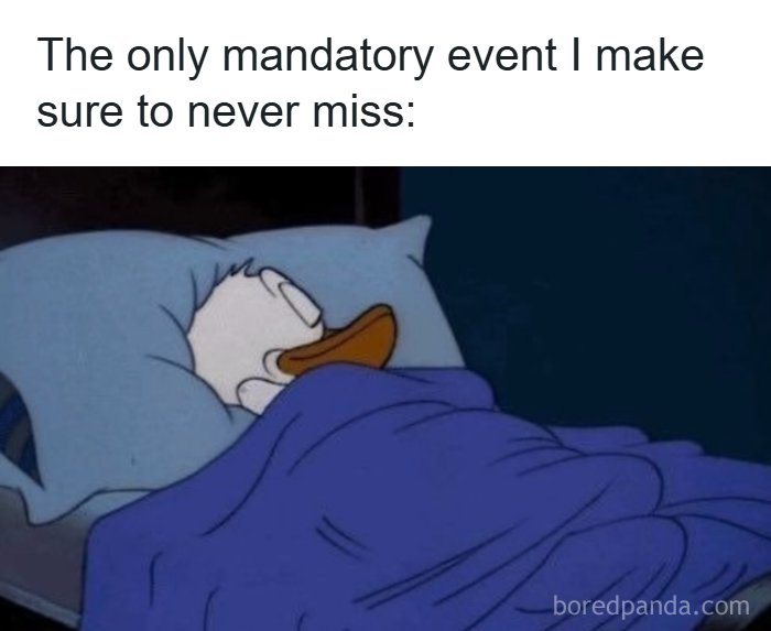 126 Hilarious And Relatable College Memes For Broken Students