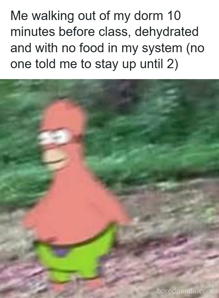 126 Hilarious And Relatable College Memes For Broken Students