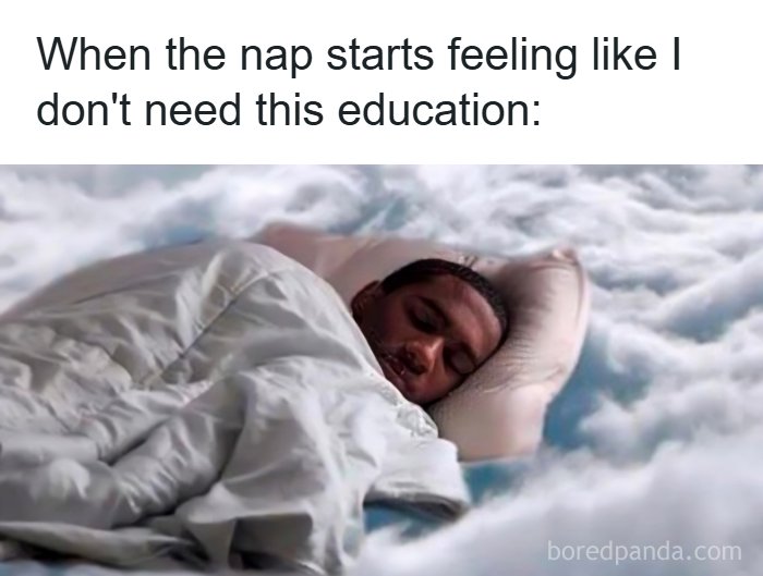126 Hilarious And Relatable College Memes For Broken Students