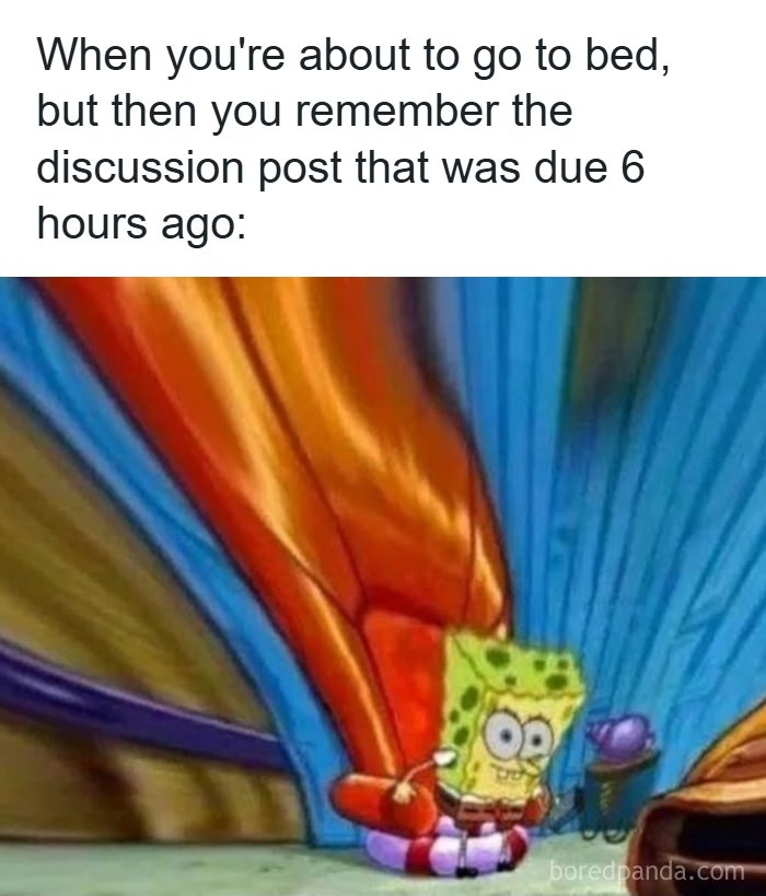 126 Hilarious And Relatable College Memes For Broken Students