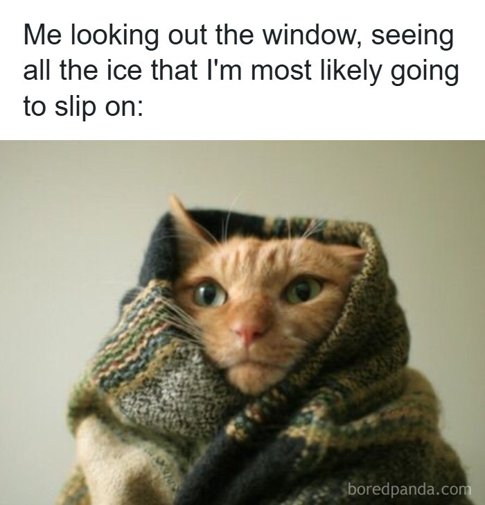 126 Hilarious And Relatable College Memes For Broken Students