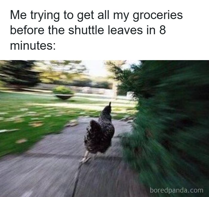 126 Hilarious And Relatable College Memes For Broken Students