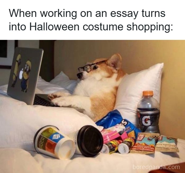 126 Hilarious And Relatable College Memes For Broken Students