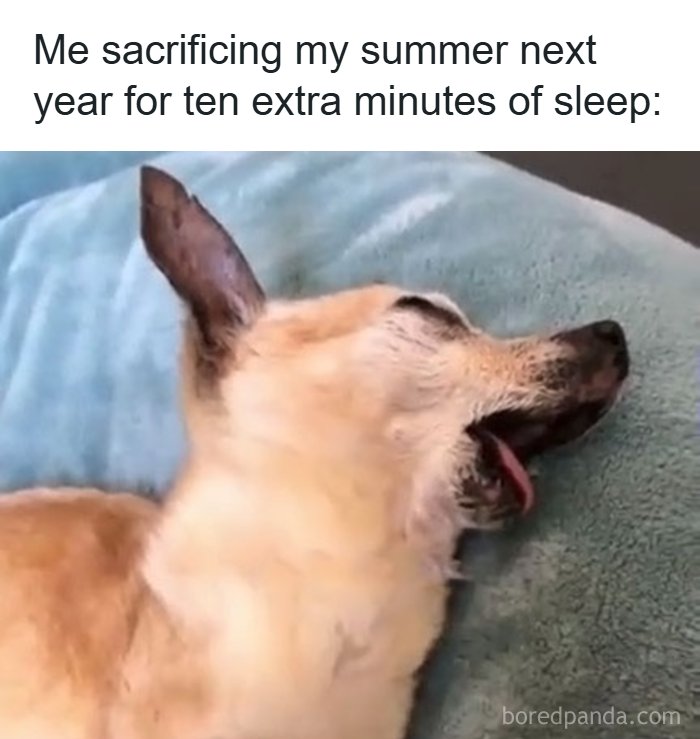 126 Hilarious And Relatable College Memes For Broken Students