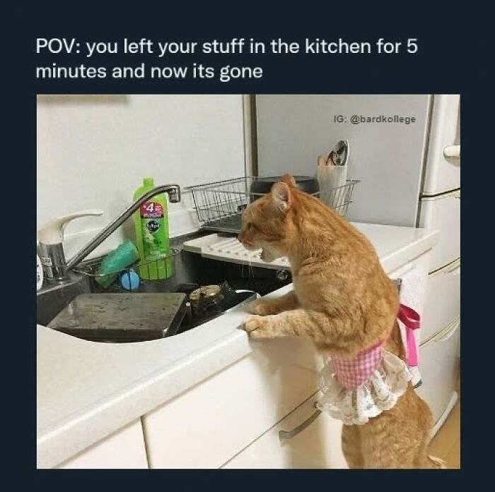 126 Hilarious And Relatable College Memes For Broken Students