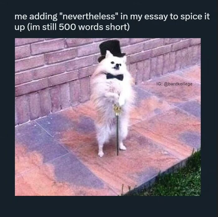 126 Hilarious And Relatable College Memes For Broken Students