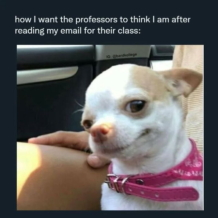 126 Hilarious And Relatable College Memes For Broken Students