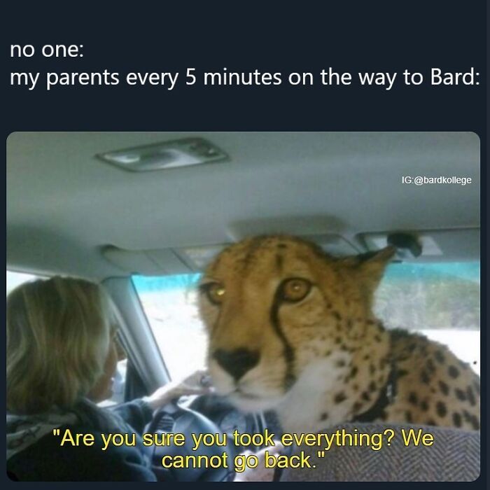 126 Hilarious And Relatable College Memes For Broken Students